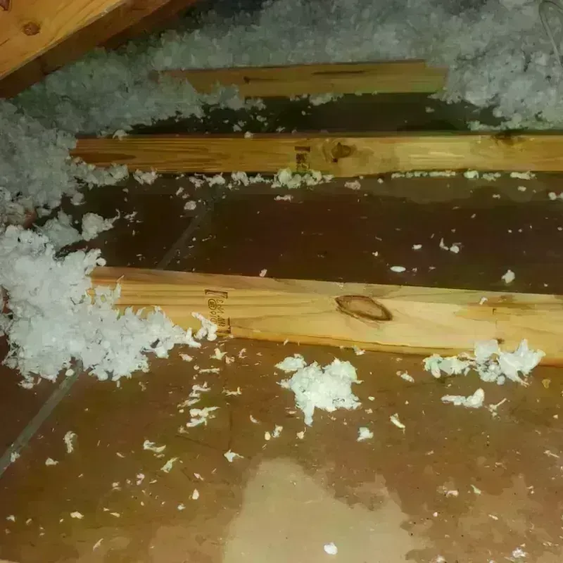 Attic Water Damage in Palmer, TX