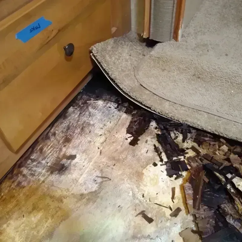 Wood Floor Water Damage in Palmer, TX